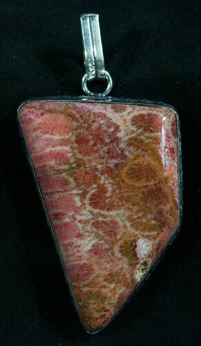 Large Red Fossil Coral Pendant #8260